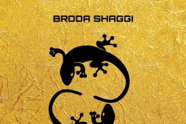 Broda Shaggi – Black Skin Boy