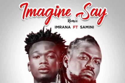 Imrana ft. Samini - Imagine Say Rmx [Prod By Daremamebeat]