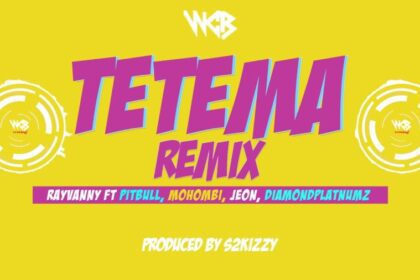 Rayvanny – Tetema (Remix) ft. Pitbull, Mohombi, Jeon, Diamond Platnumz