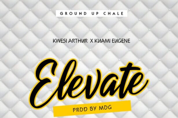 Kwesi Arthur – Elevate (Remix) ft. Kuami Eugene