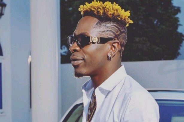 Shatta wale – I Hate Nonsense (Prod by Gigzbeatz)