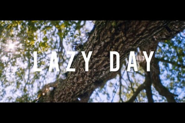 Fuse ODG - Lazy Day ft. Danny Ocean (Official Video)