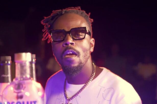 Kwaw Kese - Bottles (feat. Quamina MP)