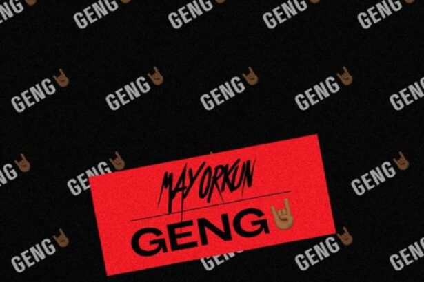 Mayorkun – Geng