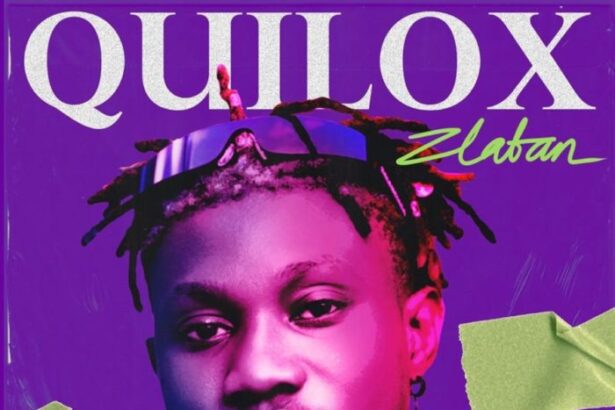 Zlatan – Quilox