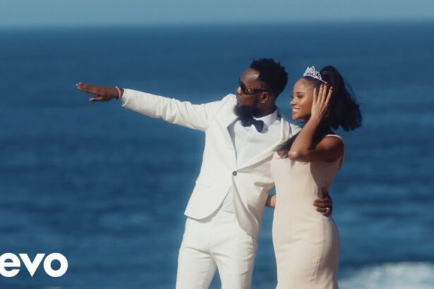 Patoranking - I'm In Love (Official Video)