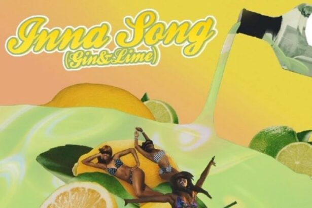 Darkovibes ft. King Promise - Inna Song (Gin and Lime)