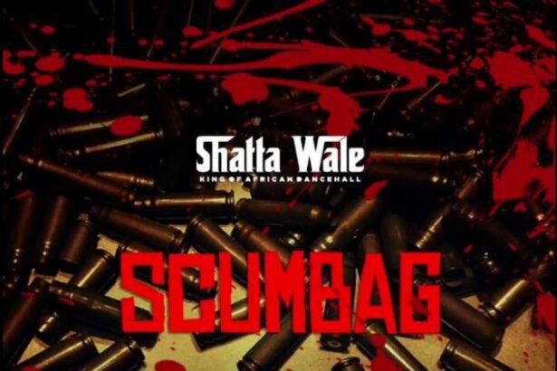 Shatta Wale - Scumbag (Prod. by Ridwan)