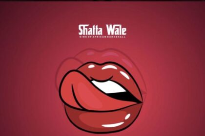 Shatta Wale - Sweet Palava