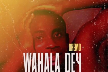 Dremo – Wahala Dey