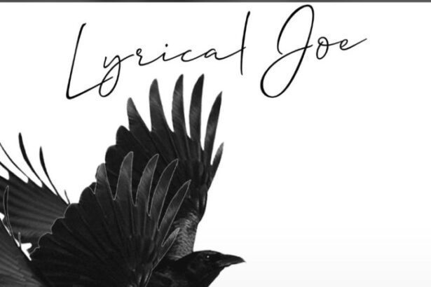 Lyrical Joe - 2Birds (Prod. by Phredxter)