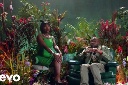 Davido - D & G (Official Video) ft. Summer Walker