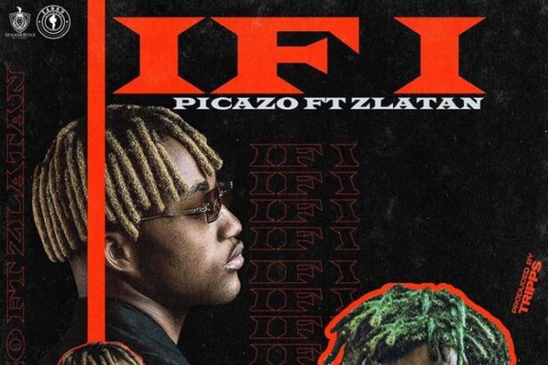 Picazo ft. Zlatan - If I (Prod. by Tripps)