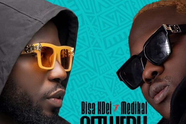 Bisa Kdei ft. Medikal - Netwerk {Download mp3}