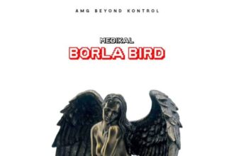 Download Medikal - Borla Bird