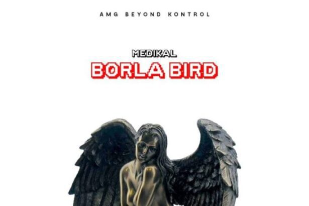 Download: Medikal - Borla Bird (Prod. By Chensee Beatz)