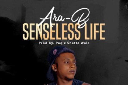 Ara-B - Senseless Life