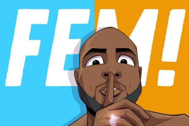 Davido - FEM