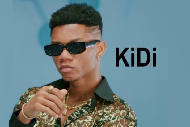 KiDi - Say Cheese Remix ft. Teddy Riley (Official Video) [Stream/Download]