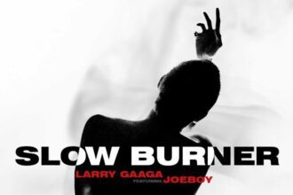 Larry Gaaga - Slow Burner ft. Joeboy