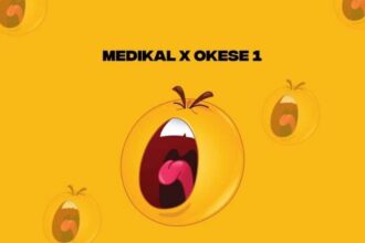 Medikal - Shout ft. Okesse1 [Island EP]