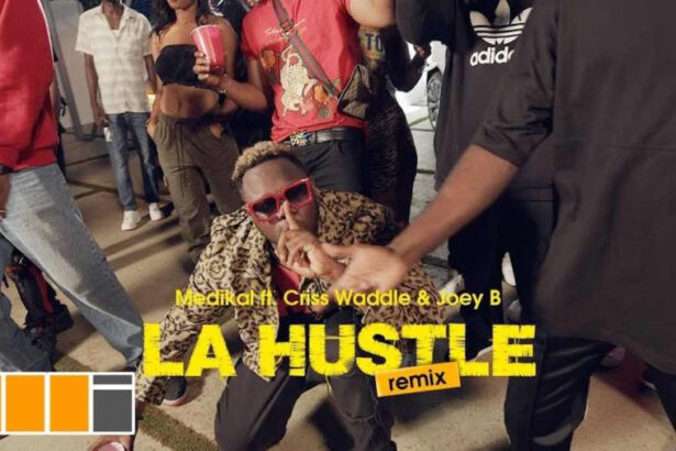 Medikal ft Joey B & Criss Waddle - La Hustle (Remix) (Official Video)