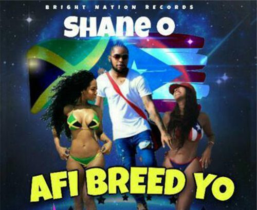 Shane O - Afi Breed Yo