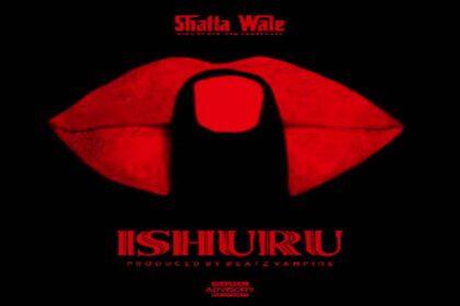 Shatta Wale - IShuru