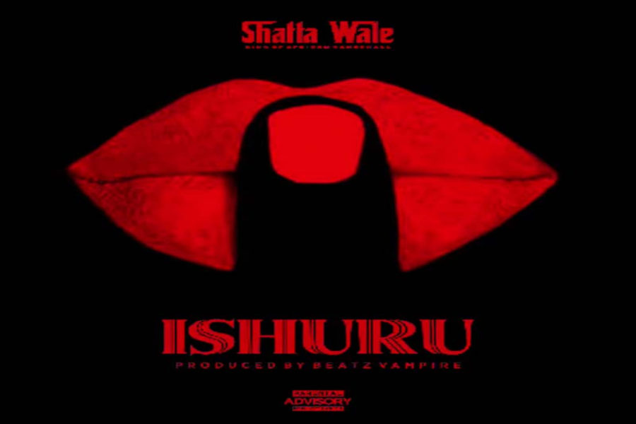Shatta Wale - IShuru