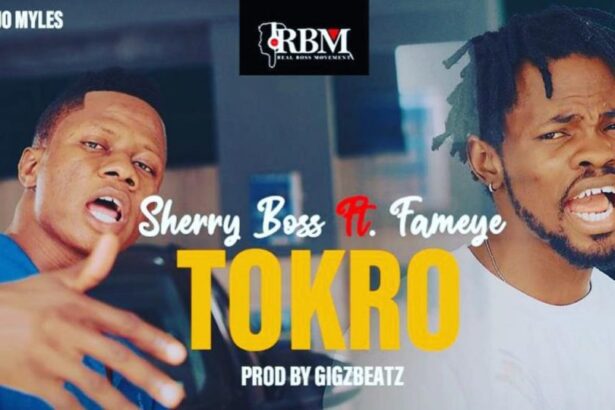 Sherry Boss - Tokro ft. Fameye