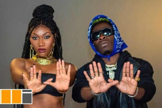 Wendy Shay - H.I.T [Haters In Tears] ft. Shatta Wale (Official Video)