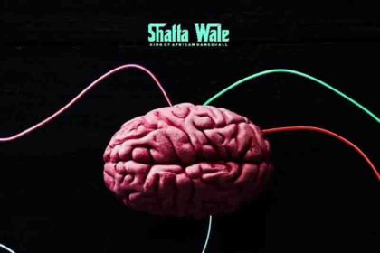 Shatta Wale - Brain Wire (Prod. by Paq)