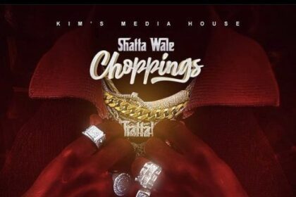 Shatta Wale - Choppings (Prod. by Beatz Vampire)