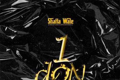 Shatta Wale - 1 Don (Prod. by Beatz Vampire)