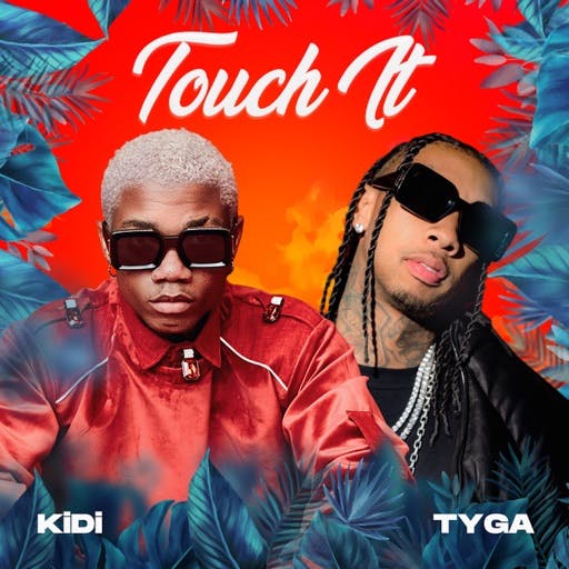 KiDi - Touch It (Remix) ft. Tyga