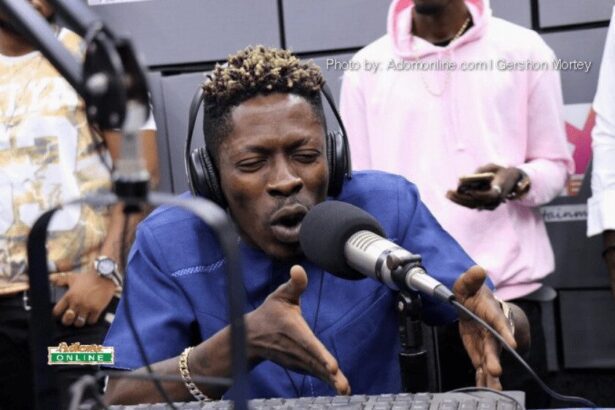 There is no money in our industry and the little we make too the system takes it - Shatta Wale